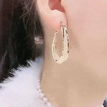Woven Mesh Oval Earrings
