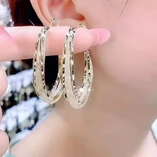 Woven Mesh Oval Earrings