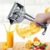 Stainless Steel Fresh Fruit Juice Extractor