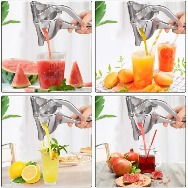Stainless Steel Fresh Fruit Juice Extractor - Image 3