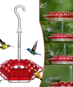 🐦LAST DAY -70%OFF🐦-Mary's Hummingbird Feeder With Perch And Built-in Ant Moat