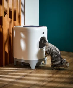 New Trend Cleaning Cat Toilet
