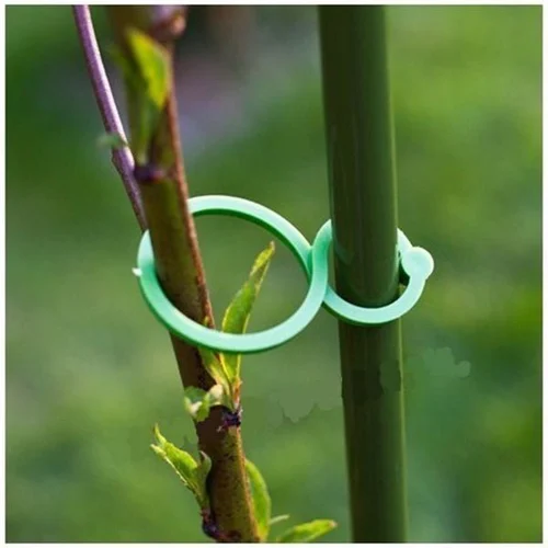 Garden Plant Holder - Image 2