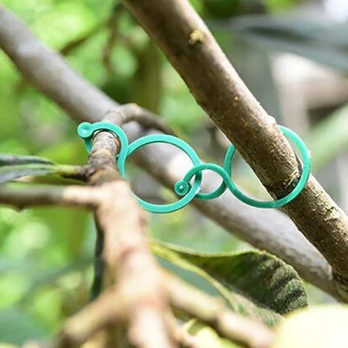 Garden Plant Holder - Image 6