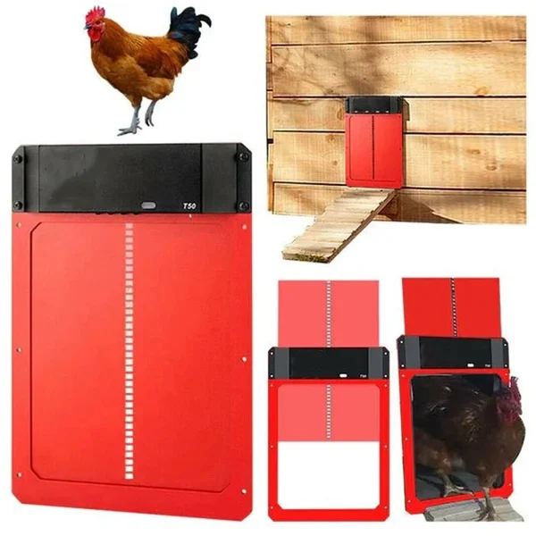 🎉LAST DAY 60% OFF🎉 - Automatic Chicken Coop Door - Image 3
