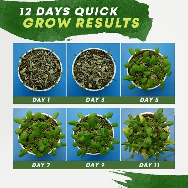 (Summer Hot Sale- 48% OFF) 🔥Plant Nutrient Solution - Image 5