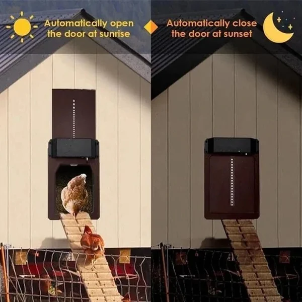 🎉LAST DAY 60% OFF🎉 - Automatic Chicken Coop Door - Image 2