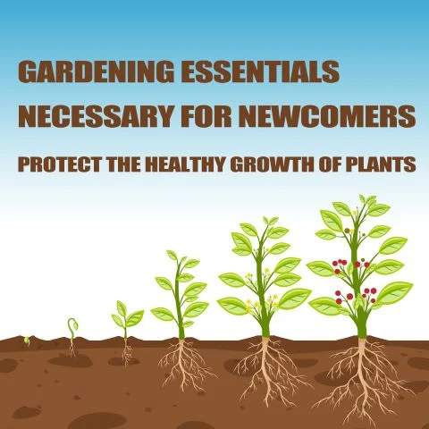 (Summer Hot Sale- 48% OFF) 🔥Plant Nutrient Solution - Image 3