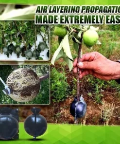 Plant Root Growing Box