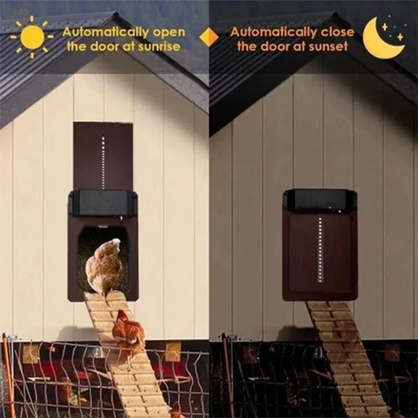 🎉LAST DAY 60% OFF🎉 - Automatic Chicken Coop Door - Image 7