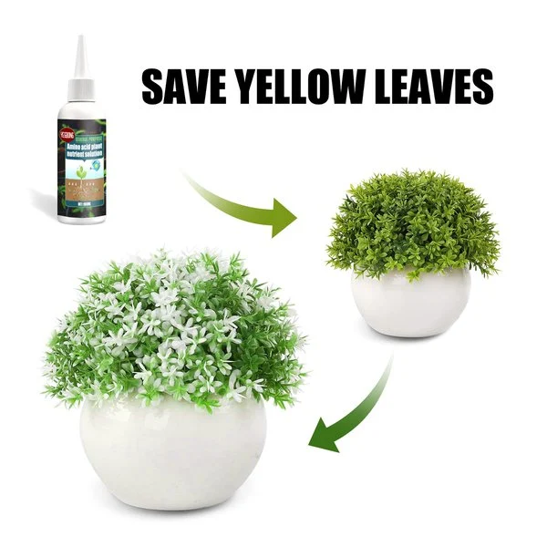 (Summer Hot Sale- 48% OFF) 🔥Plant Nutrient Solution - Image 8