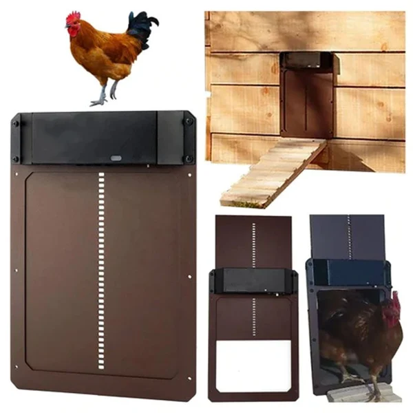 🎉LAST DAY 60% OFF🎉 - Automatic Chicken Coop Door - Image 5