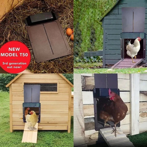 🎉LAST DAY 60% OFF🎉 - Automatic Chicken Coop Door - Image 4
