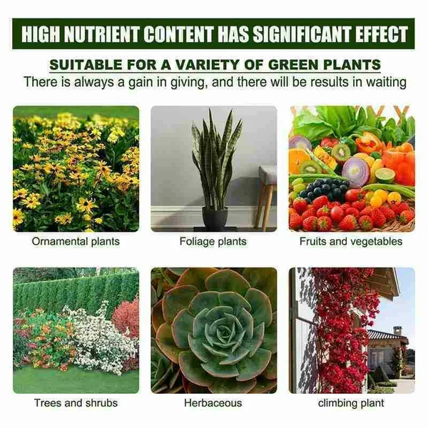 (Summer Hot Sale- 48% OFF) 🔥Plant Nutrient Solution - Image 6
