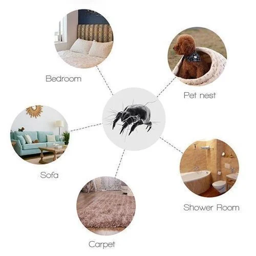 Dust Mite Killing Pad - Image 7