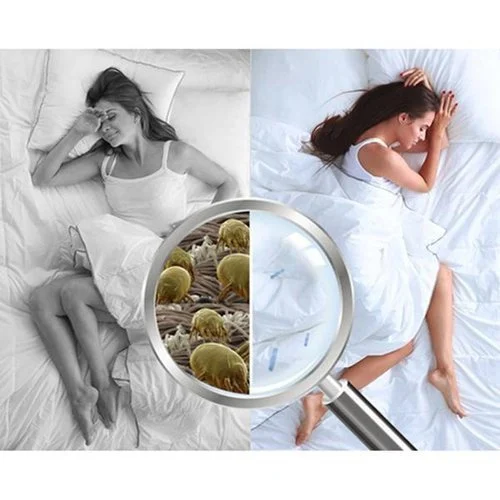 Dust Mite Killing Pad - Image 5