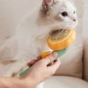 Pumpkin Pet Grooming Tool Pet Remove Hair Brush