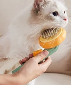 Pumpkin Pet Grooming Tool Pet Remove Hair Brush