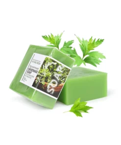 Wormwood Varicose Veins Care Soap