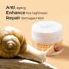 TIMETurner™ French Snail Repair Cream