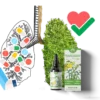 GeirBreath® Dendrobium & Mullein Extract – Powerful Lung Support & Cleanse & Respiratory