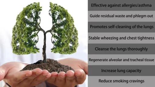 OnNature Organic Herbal Lung Cleanse & Repair Nasal Spray PRO - Image 6