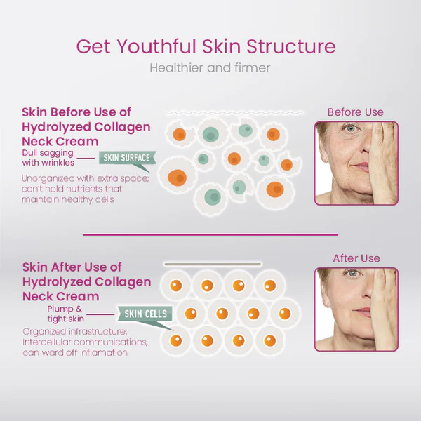 CollagenLUXE™ Hydrolyzed Collagen Neck Cream - Image 4
