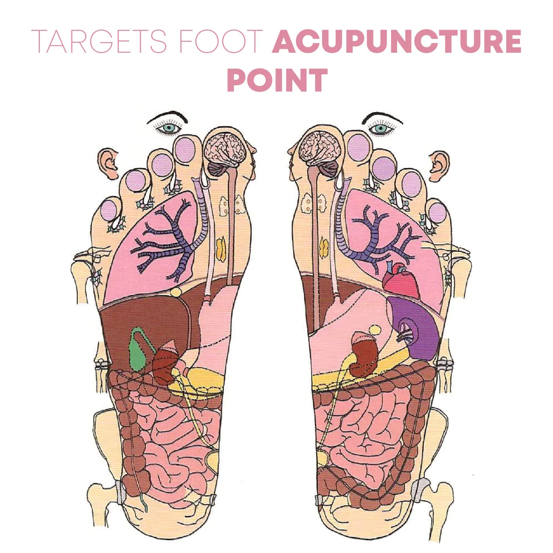 TENS AcupointTheropie SlimMassager Mat - Image 3