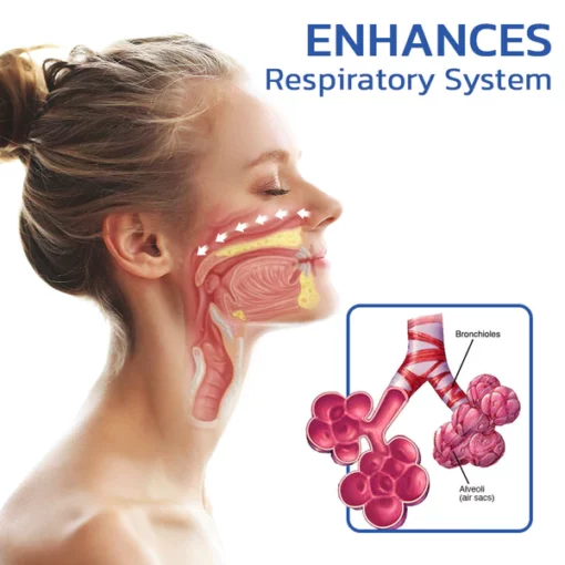 GFOUK™ SeasonsNose Lung Cleaning Nasal Allergic Spray - Image 3