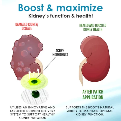 AEXZR™ Kidney Boost Patch - Image 7