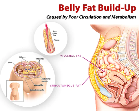GFOUK™ IONSculpt Tourmaline Fiber Briefs - Image 8