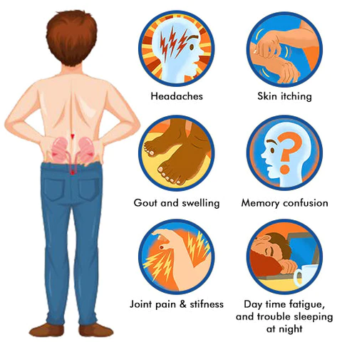 GoOut® Powerful Kidney Support & Uric Acid Cleanse Herbal Drops - Image 5