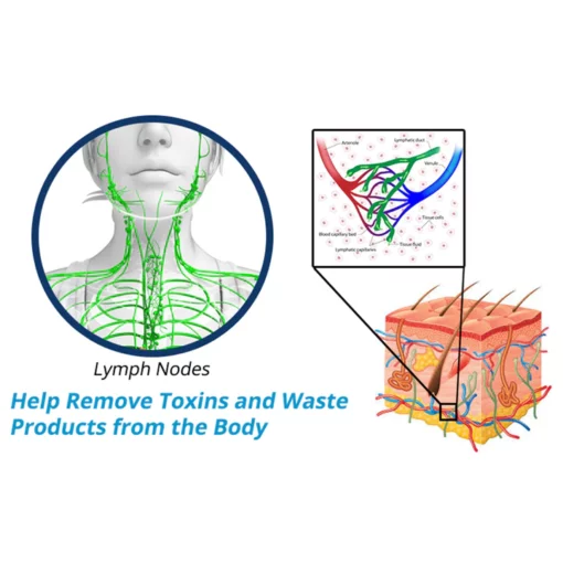 GFOUK™ PerfectJaw EMS Microcurrent Lifting Device - Image 4