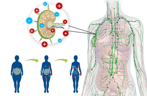 GFOUK™ IONSculpt Turmalin-Faser-Slips - Image 5