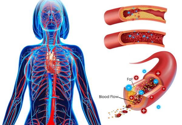GFOUK™ IONSculpt Turmalin-Faser-Slips - Image 4