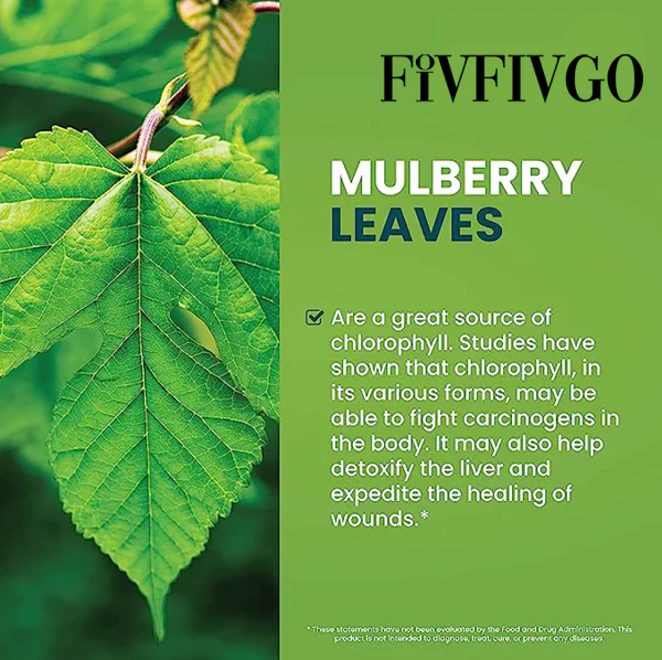 Fivfivgo™ Chlorophyll Liquid Natural Detox & Blood Sugar Support Drops - Image 8