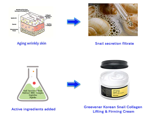 Oveallgo™ Korean Snail Collagen Lifting & Firming Cream - Image 4