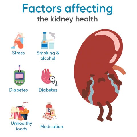 AEXZR™ Kidney Boost Patch - Image 5