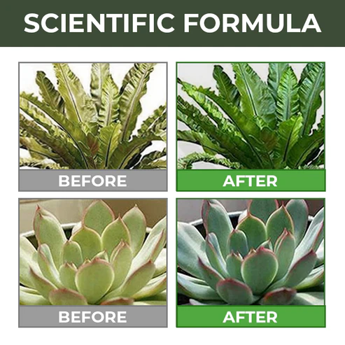 Greenworks™ Universal Slow-Release Organic Fertilizer - Image 6