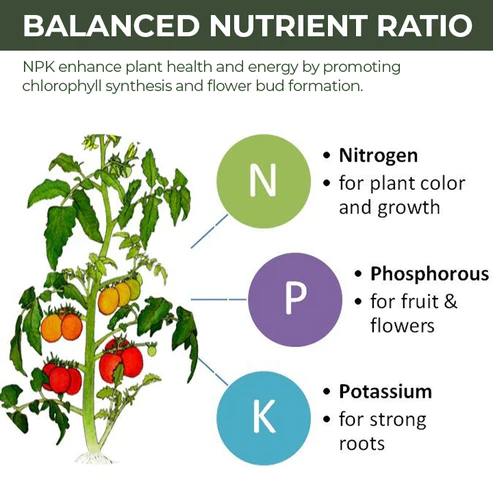 Greenworks™ Universal Slow-Release Organic Fertilizer - Image 5