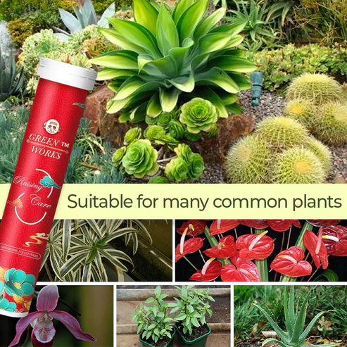 Greenworks™ Universal Slow-Release Organic Fertilizer - Image 2