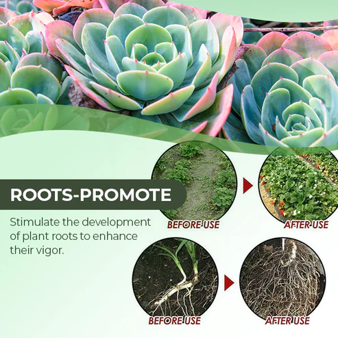 Greenworks™ Universal Slow-Release Organic Fertilizer - Image 4