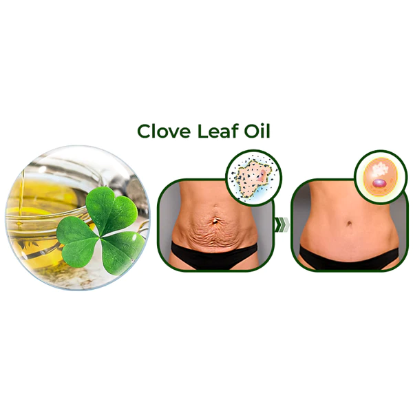 GFOUK™️ Avocado Ageless Body Cream Scrub - Image 3