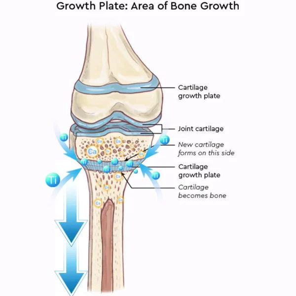 HIGHERSOCKS®2023 Upgraded Far Infrared Schorl Titanium Ion Heightening Booster Socks - Image 6