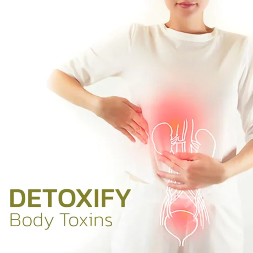 Awzlove™ Herbal Detox Foot Soak Pills - Image 4