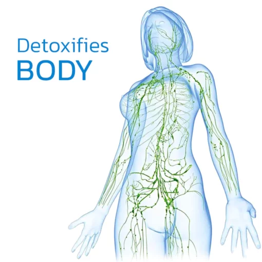 Ultrasonic Liposuction Machine - Image 5