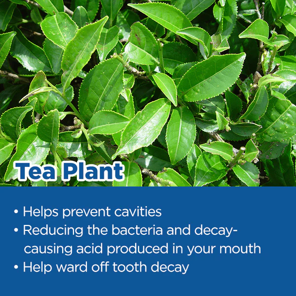 Biancat™ SwiftBright Instant Teeth Whitening Pen - Image 4