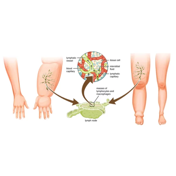 flysmus™ Carly Mineral Detoxify Bangle - Image 6
