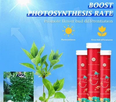 🔥Last Day Promotion 49% OFF🔥 Home Gardening Universal Slow-Release Tablet Organic Fertilizer