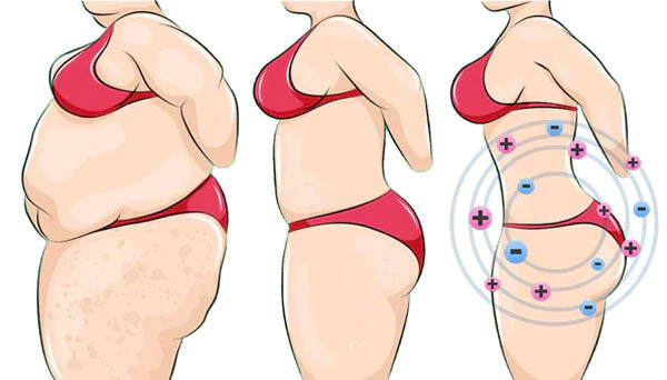 Oveallgo™ Graphene Ultimativ Fiber Restoration High Waist Briefs - Image 7